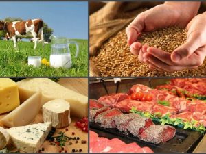 image-17046378906191437092_1200x630