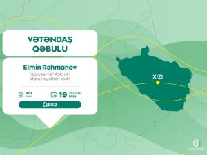 image-17052988871016556508_1200x630