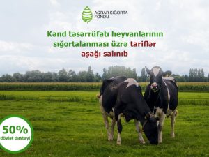 image-8vtlhqo33qyjgxrgyaptq88bpb1nz4pw8a97g64o