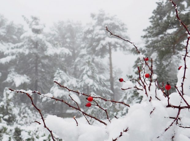 image-90a1fe23075ee96da31d05c75cfcee36