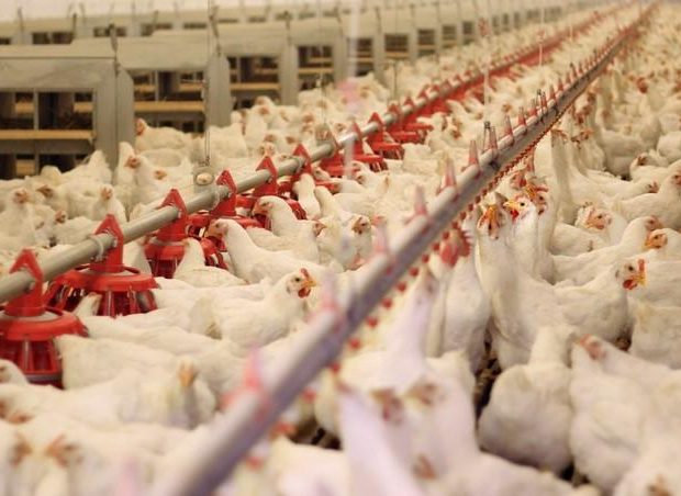 image-987165_6219zk89al