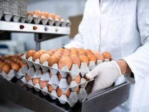 image-fotojet-2024-01-11t141544-753