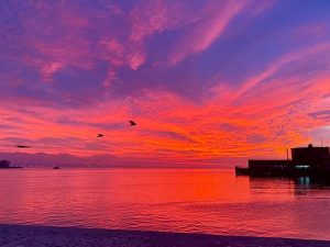 image-img_20240108_125136_215