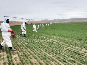 image-qkfbifeh5keysis6lwzmsecah8ggudsxpq9qj9dn