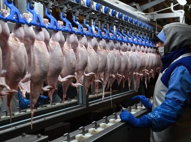 image-rian_5821107-hr-pic_32ratio_900x600-900x600-12837