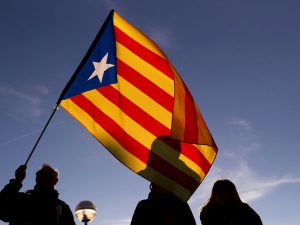 image-rtx6jfag-pic905-895x505-22470