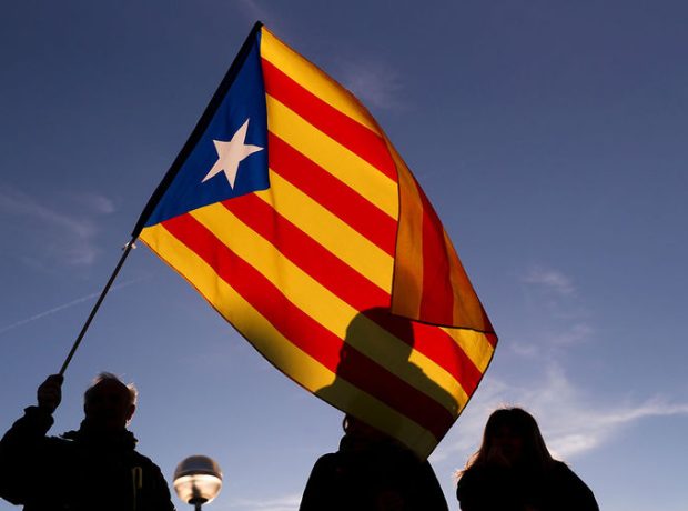 image-rtx6jfag-pic905-895x505-22470