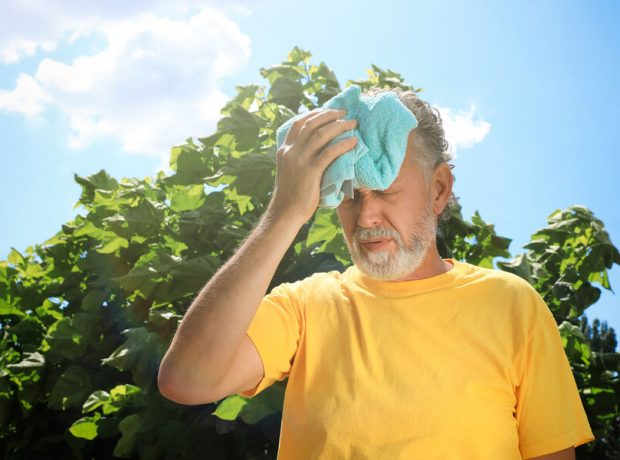 image-shutterstock_2023778612-pic_32ratio_900x600-900x600-37453