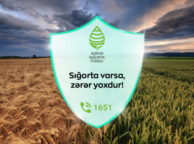 image-zdbgb6onoa7fhk5on9lslaj0jhacuvrwjtfq5hi6