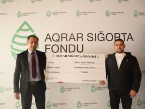 image-zqdlhg6fs1uegd90dk8yyjjw7yw4r1sap8akhtae