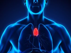 image-16-pic_32ratio_900x600-900x600-66589