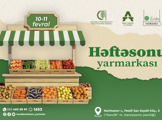 image-17074749376398246591_1200x630