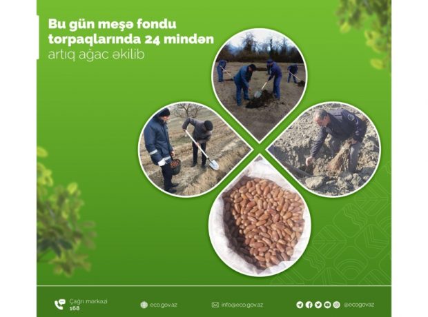 image-17078333051205546479_1200x630