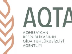 image-1708526012289297276_1200x630