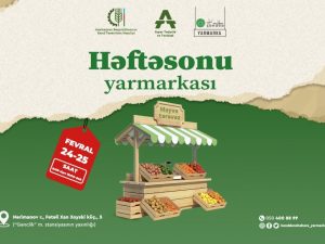 image-17085806466366360765_1200x630