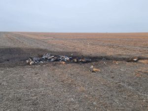 image-63-pic_32ratio_900x600-900x600-34073