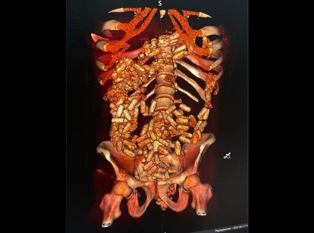 image-bez-imeni-2-pic_32ratio_900x600-900x600-555