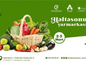 image-bzqysnlp7jegjmczmmcuqzrkfexe4b8pns4skg9k