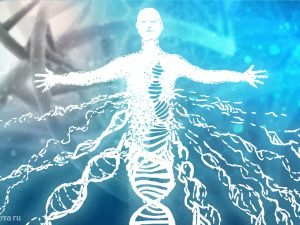 image-dnk-pic_32ratio_1200x800-1200x800-86732