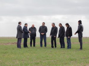 image-gg7nzrkx1ywtvrnnpglcvw4w0pe2pj9pljpr5ii1