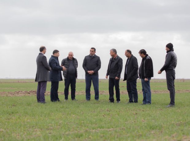 image-gg7nzrkx1ywtvrnnpglcvw4w0pe2pj9pljpr5ii1