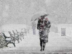image-hava