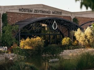 image-img-20240212-wa0190