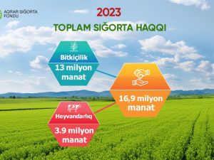 image-r9sb5ilw5d6bhvyuy50vbdbe1d7b74bm1gubk8gz