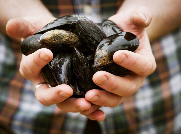 image-shutterstock_604749869-pic_32ratio_900x600-900x600-92193