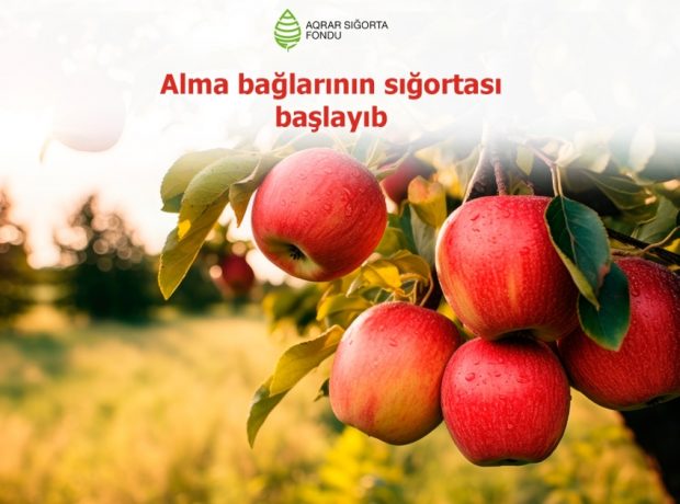 image-17101522572930955887_1200x630