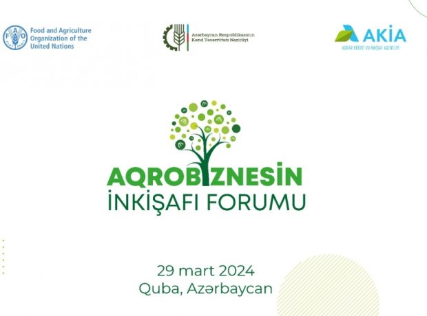 image-171154943776952289_1200x630