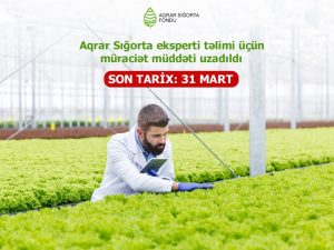 image-17117136952653143129_1200x630