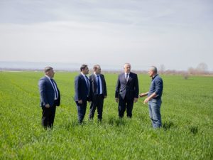 image-171171510187213692_1200x630