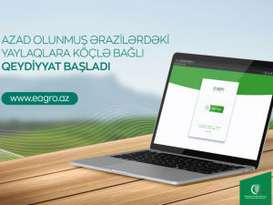 image-17117288055612465303_1200x630