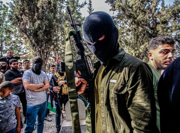 image-20231023_aaa_s197_116-pic_32ratio_900x600-900x600-77734