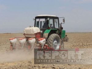 image-45215f45-32fc-30ef-8ac0-aa37bdf9e3b2_850