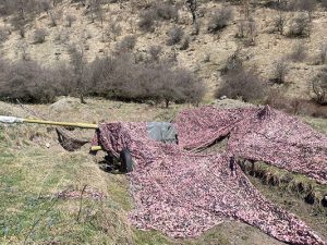 image-4af2c691-bd76-4a85-9d62-fc5655506f85