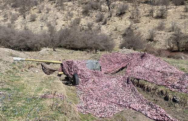 image-4af2c691-bd76-4a85-9d62-fc5655506f85