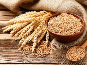 image-51beb63c-2d0f-44a7-92f1-259b528f8882