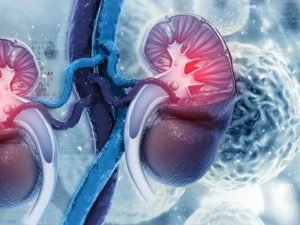 image-6def62aee2644256be841d2e1c31ac0b