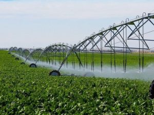 image-97e020e4-a2a2-3aeb-8283-9cb20ece3f79_850