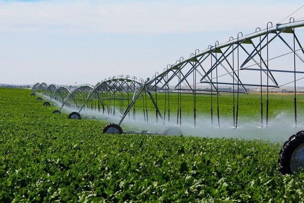 image-97e020e4-a2a2-3aeb-8283-9cb20ece3f79_850