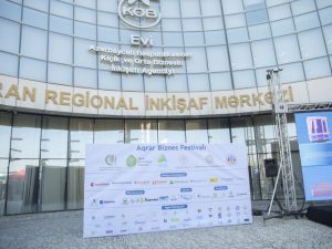 image-ast5lfotbvoiqvbspao7hwmiet1pm9dfyae8vanu