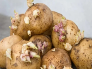 image-ekran_sekli_2024-03-24_130613