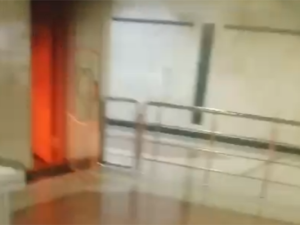 image-metrrrrr