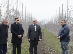 image-qmdqfg3lg2dxfyvpuokr8aeg7s28portfcpf48zl