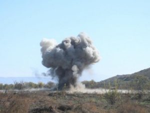 image-1705840311_photo_5289925925460367042_x