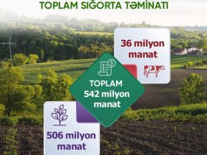 image-17121451455016149151_1200x630