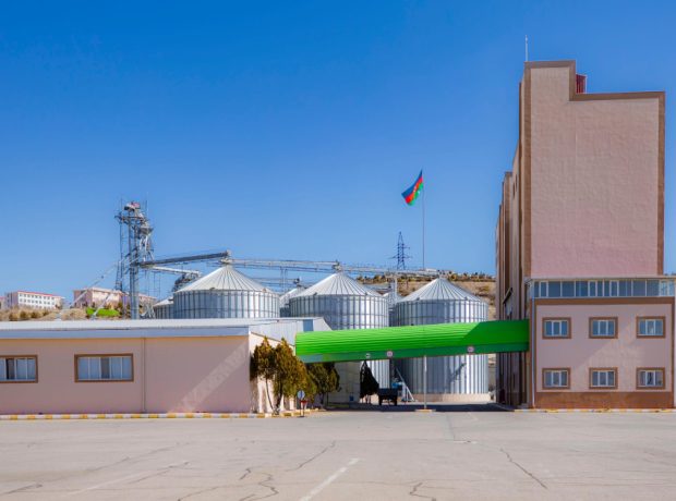 image-17139596594139214346_1200x630