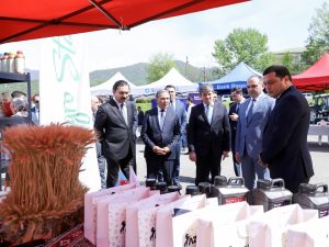 image-17140612675328162757_1200x630